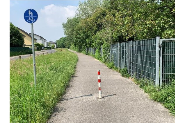 Bild_14_Auf_m_Buechel