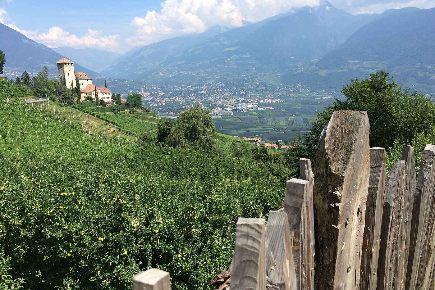 Ausblick vom Haidenhof.