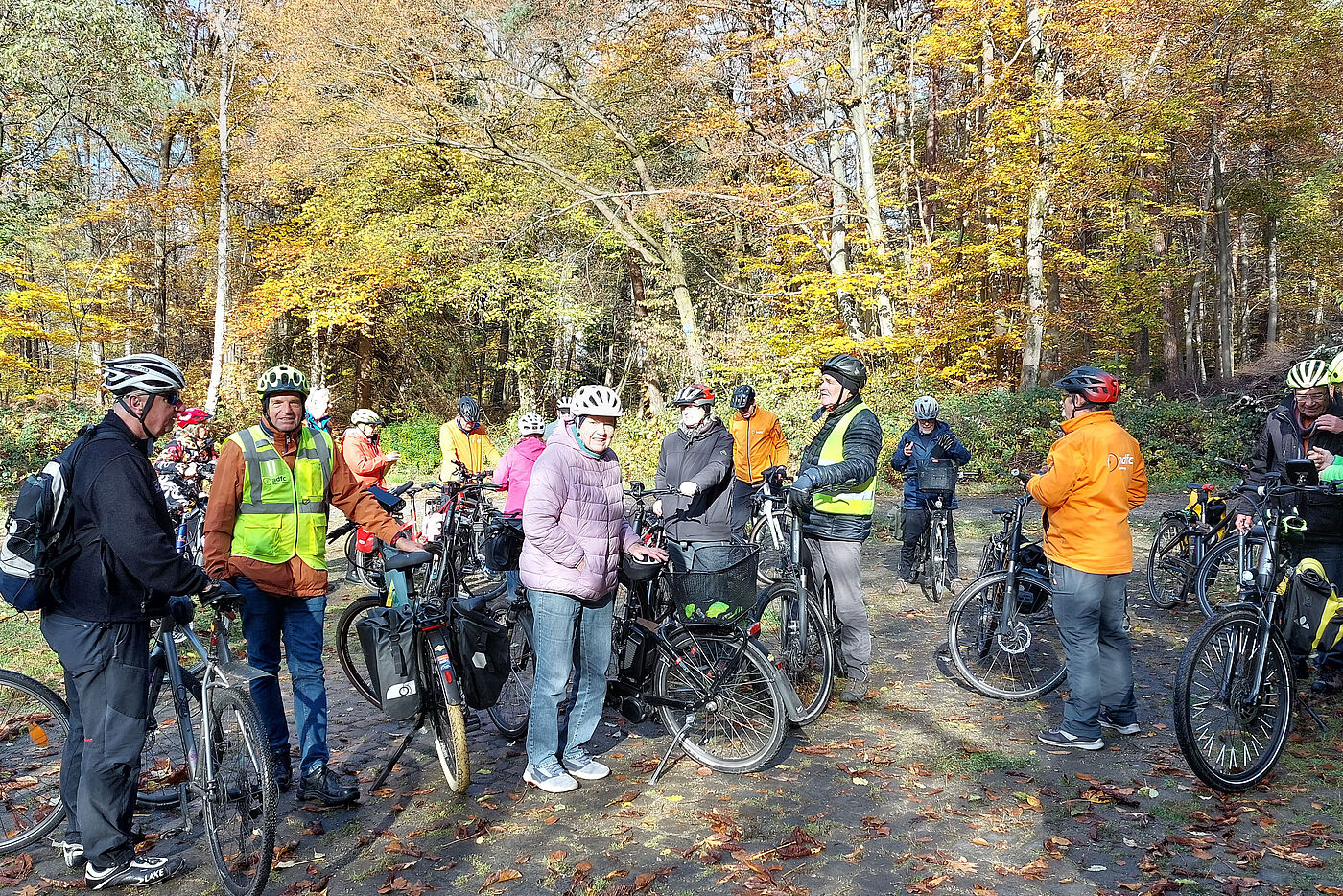 GK_20251102_114519_Sternfahrer_im_Koenigsforst Sternfahrer im Königsforst