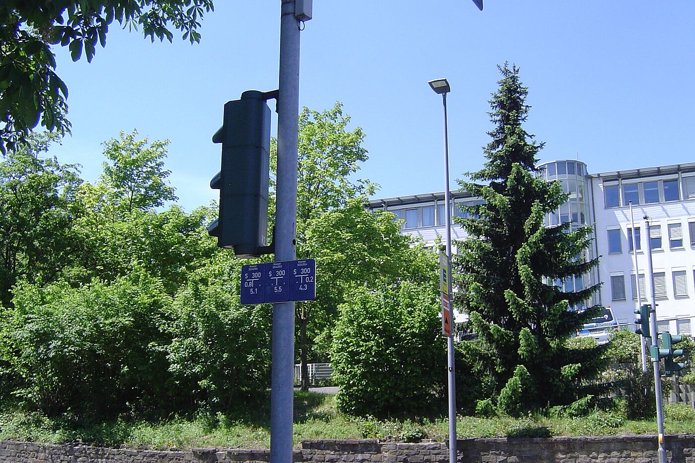 Blaumeisen am Ampelmast       