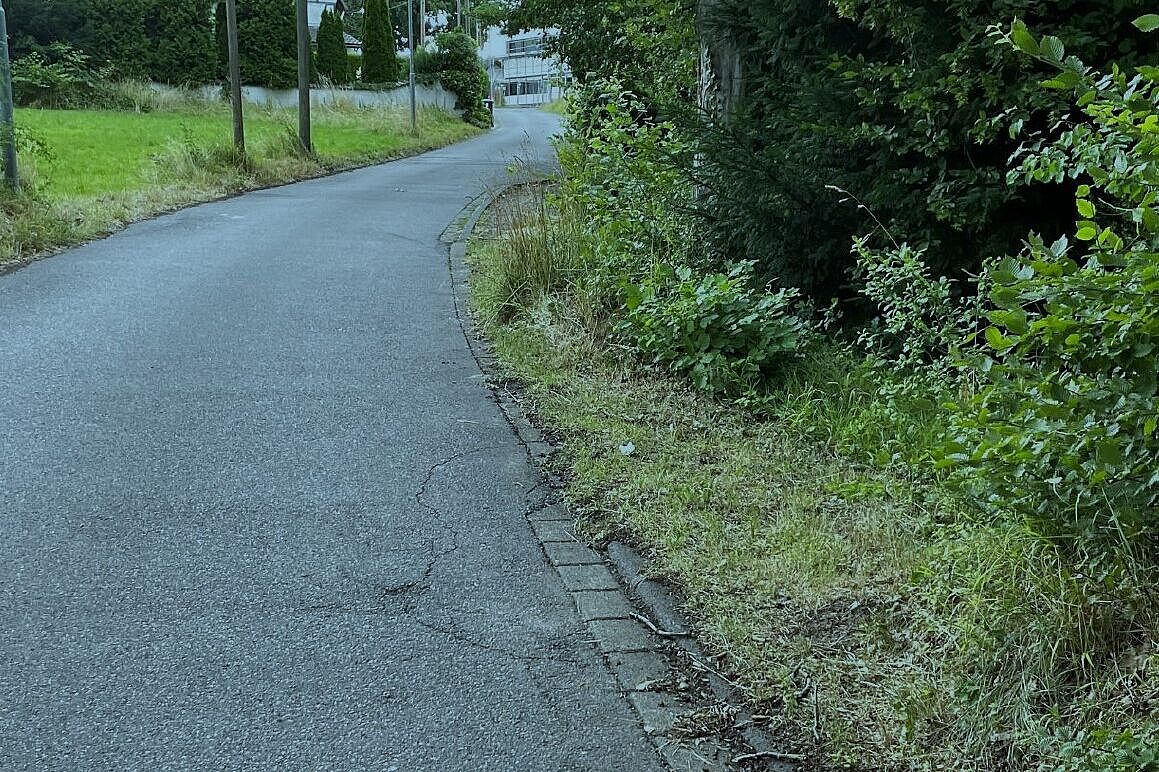 Wenige Meter oberhalb von Foto 4: Der Platz vermutlich zu schmal und zu abschüssig für Ausweichstelle? Siehe auch erste Fahrbahnrisse. Aufwand zum Vergrößern prüfen?