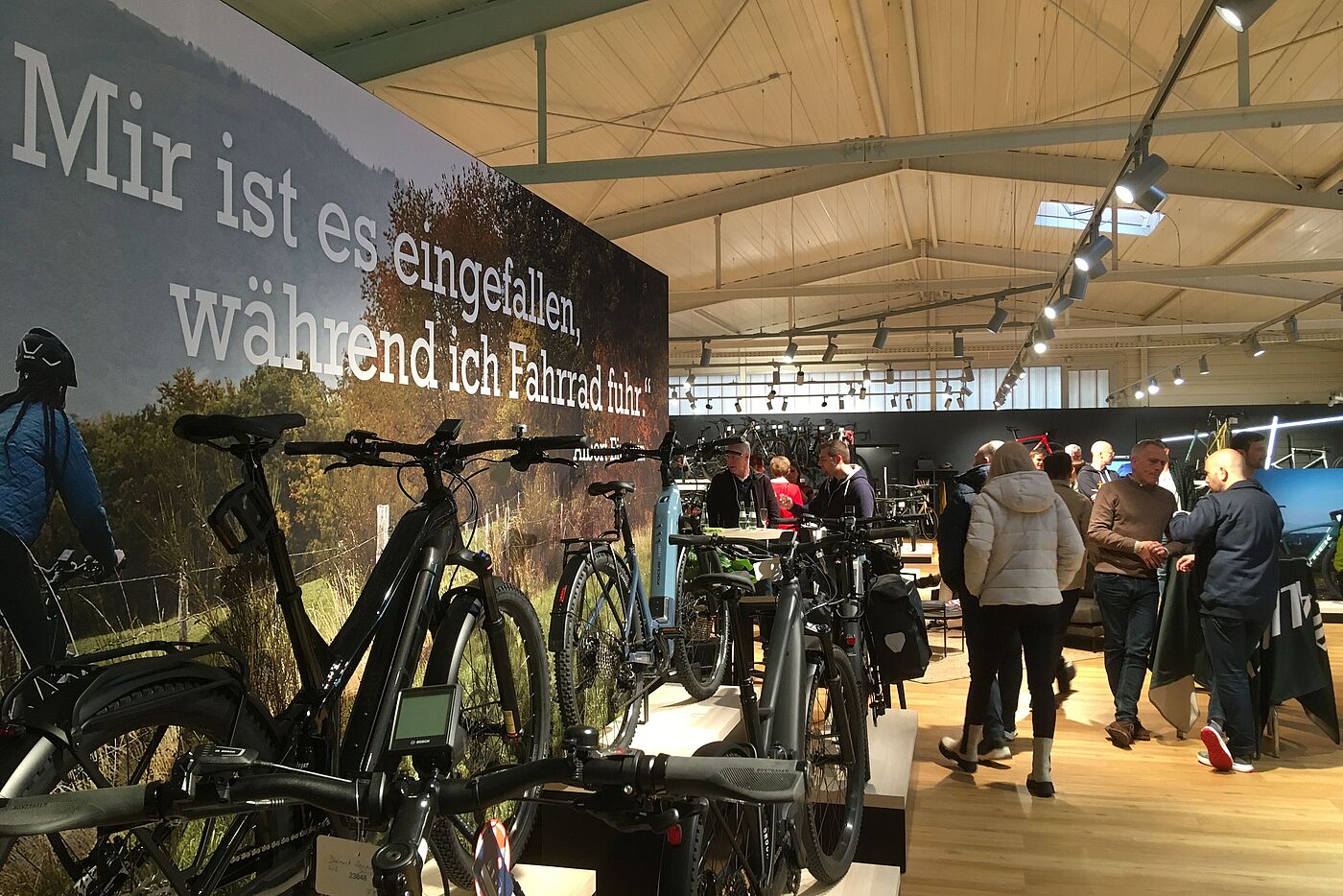 Bild_13 Zitat Albert Einstein "Mir ist es eingefallen, während ich Fahrrad fuhr"