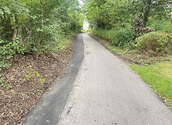 Blick Richtung Wendehammer, durch großzügigen Rückschnitt ist die Sicht im Kurvenbereich jetzt deutlich verbessert.