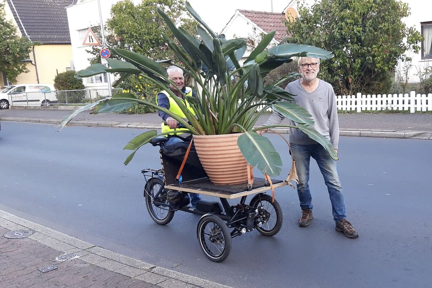 ADFC holt die ersten Cannabis-Setzlinge. Man darf ja zum privaten Mißbrauch nur drei haben.
