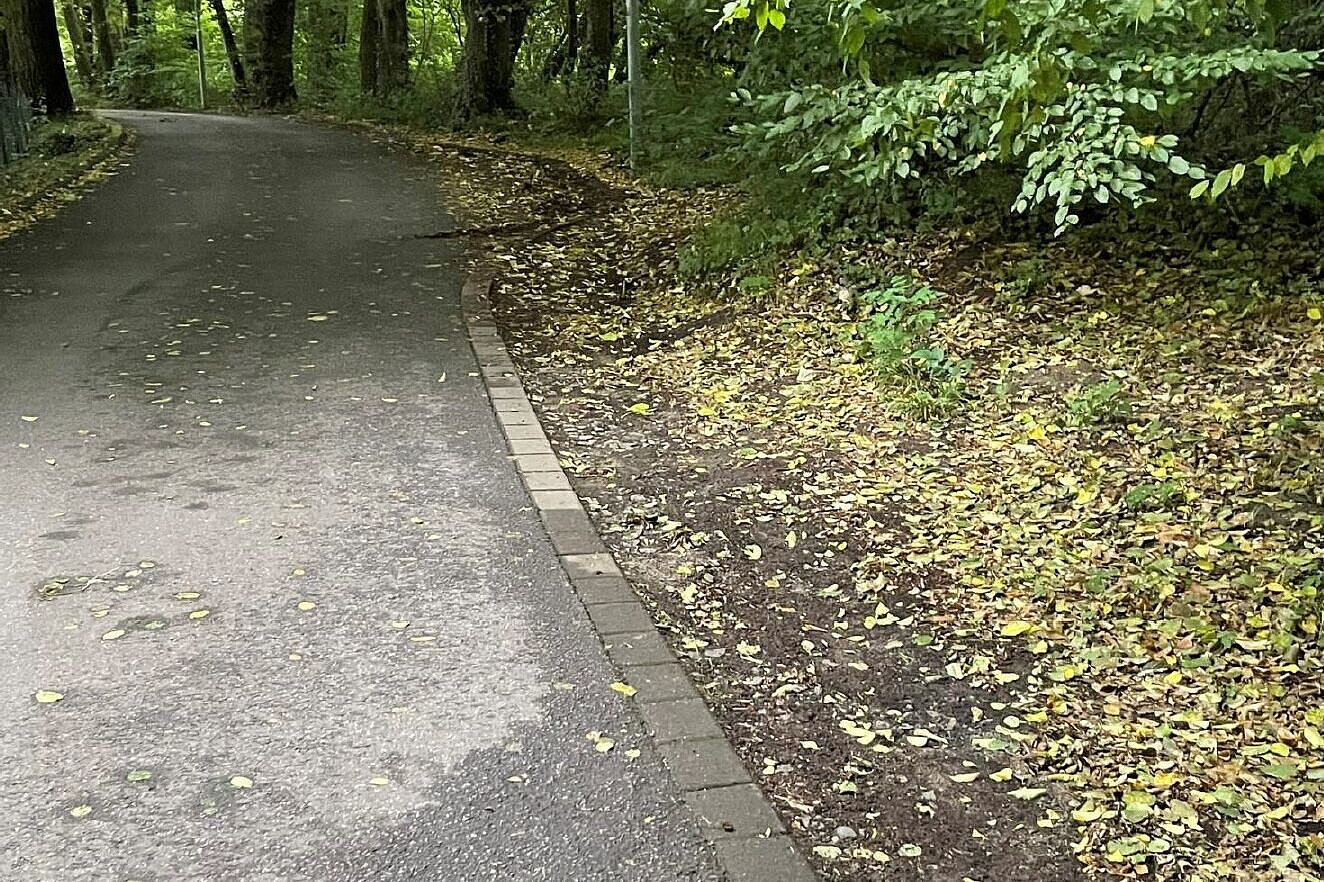 Oben rechts ist die befestigte und mit Kantensteinen abgegrenzte Ausweichstelle am Beginn des „Waldabschnittes“ zu erkennen. Auch davor ist ausreichend Platz zum Ausweichen, wenn Sträucher zurückgeschnitten werden und ein wenig Schotter aufgebracht wird.