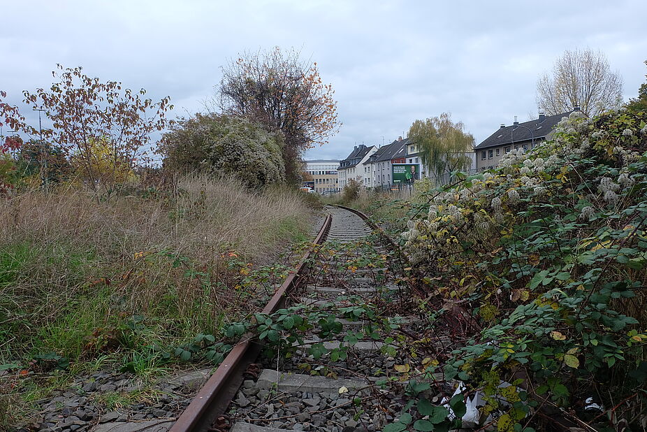 Bild 3: Blick vom Driescher Kreisel in Richtung Westen Blick vom Driescher Kreisel in Richtung Westen