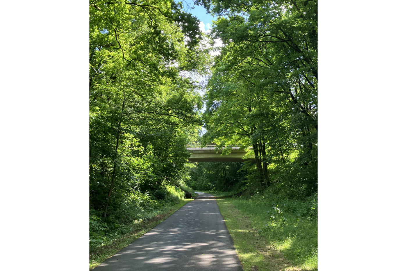 B04_Natur_pur_auf_der_Balkantrasse Natur pur auf der Balkantrasse
