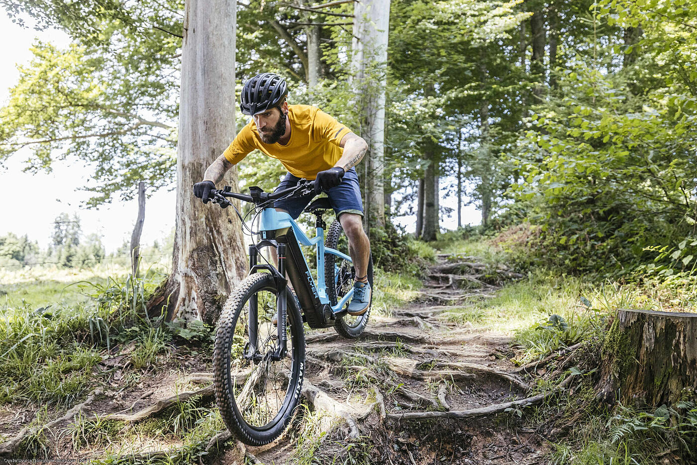 Auch der Mountainbike-Sport wird im Wald ausgeführt