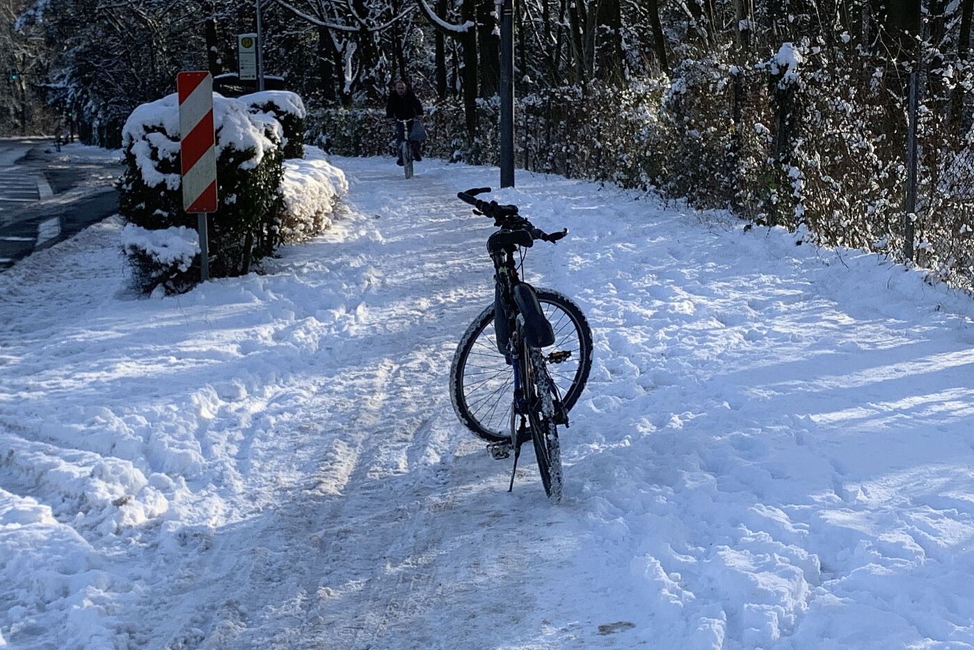 am Friedhof, der in die Anlieger-Zuständigkeit der offensichtlich untätig gebliebenen Stadt fällt.