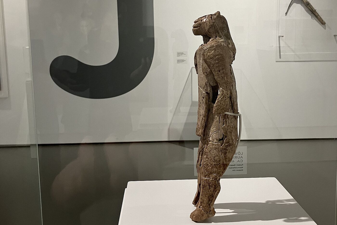 Hier in der Stadel-Höhle wurde neben vielen Werkzeugen der Neandertaler das weltbekannte Kunstwerk Löwenmensch gefunden