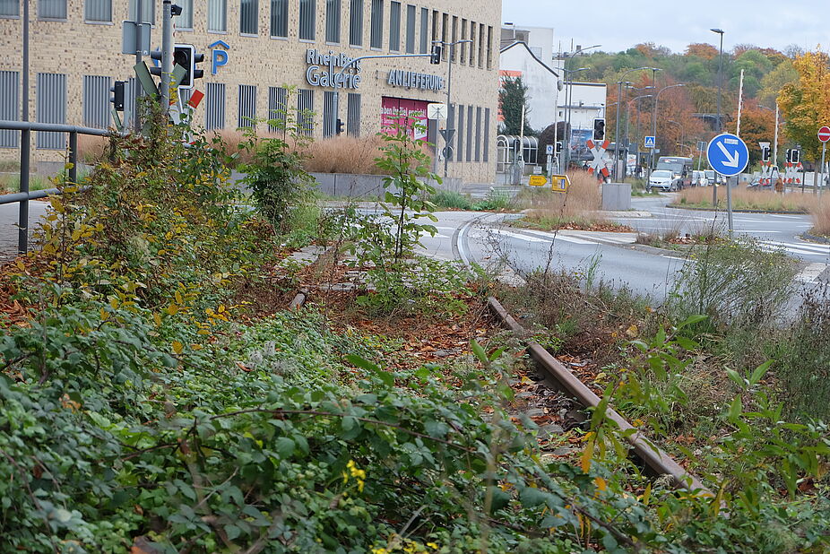 Bild 2: Alles beginnt im "Kreisel" Alles beginnt im "Kreisel"