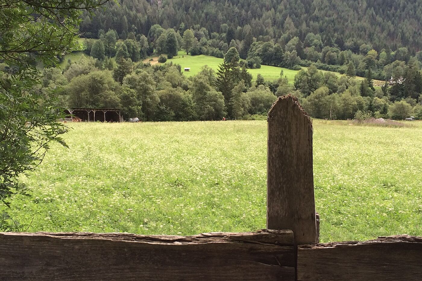Moni allein auf Spurensuche
