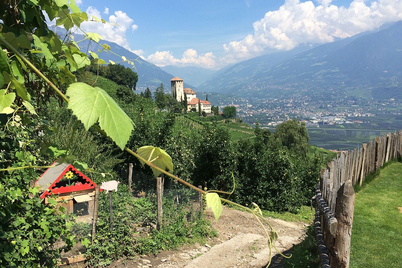 Ausblick vom Haidenhof.