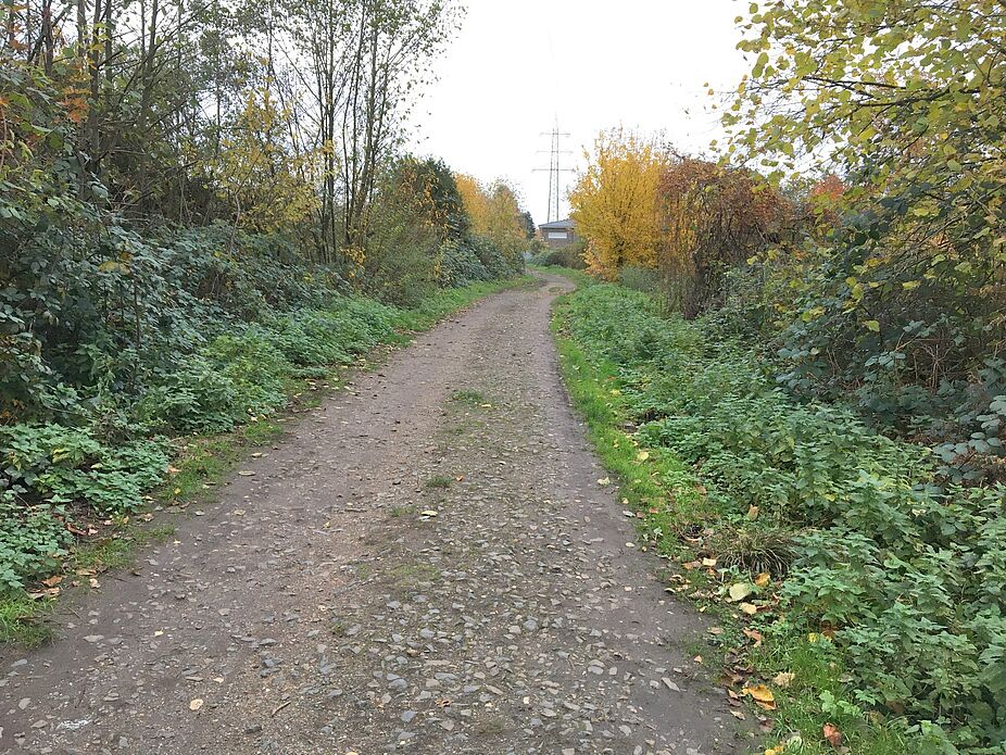 Bild 11: Geschotterter Waldweg zur Gierather Straße Geschotterter Waldweg zur Gierather Straße